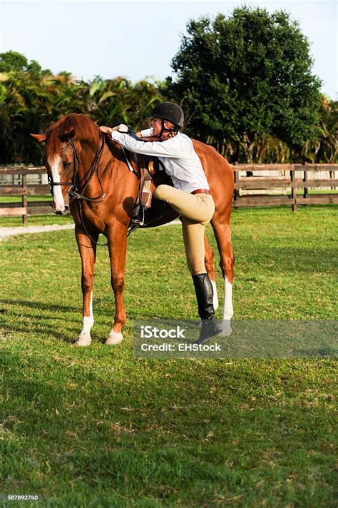 Woman Mounting Horse On Farm Stock Photo Download Image Now Horse