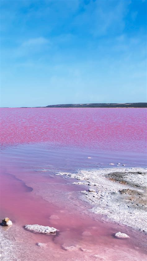 Hutt Lagoon Shore At Pink Salt Lake Gregory Western Australia