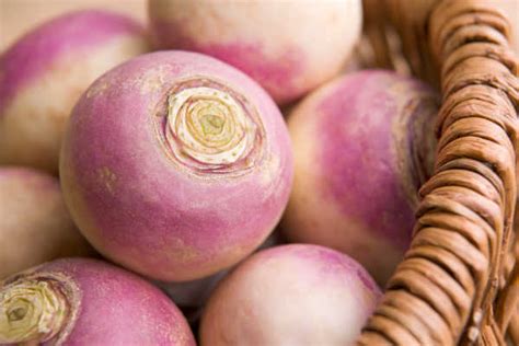 What Do Turnips Taste Like A Complete Guide