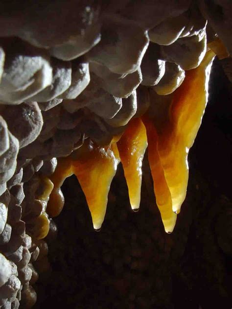 Jewel Cave National Monument Geology Page
