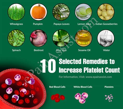 How To Increase Platelet Count In Blood How To Increase A Low Blood