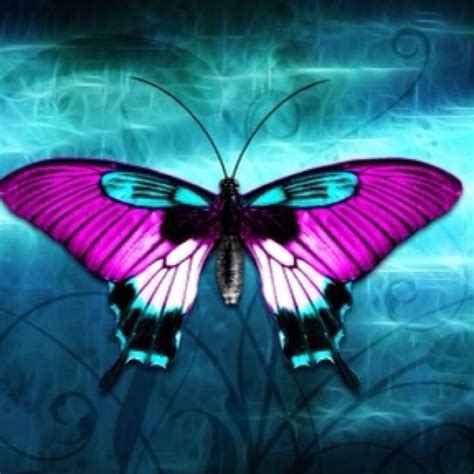 1000 Images About Papillonsbutterfly On Pinterest Butterflies Blue