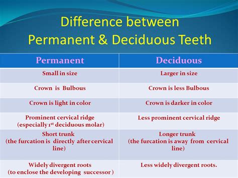Difference Between Deciduous And Permanent Teeth Teethwalls