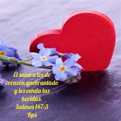 Bible Latin America Psalms Hearts Biblia The Bible