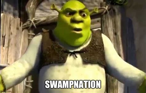 Shrek What Are You Doing In My Swamp Imgflip