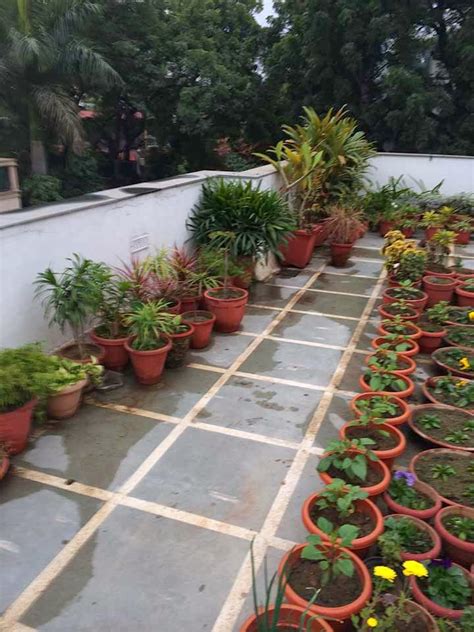 Share pictures, locations to visit, and useful tips on how to create your own elevated paradise. Rooftop Gardening & Lawn Beautification - Green Dhaka