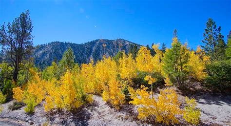 Best Time To See Lake Tahoe Fall Colors 2024 When To See Roveme