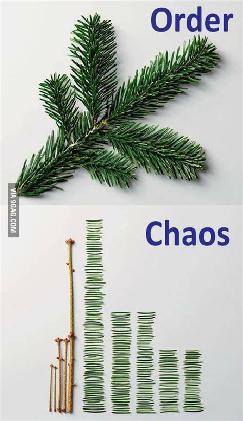 Redefine What Order And Chaos Is 9gag