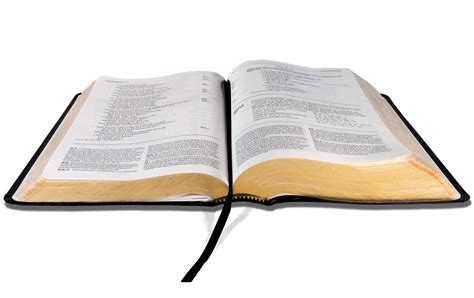 Bible PNG Transparent Images - PNG All