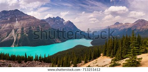 Panorama Peyto Lake Banff National Park Stock Photo 713251612