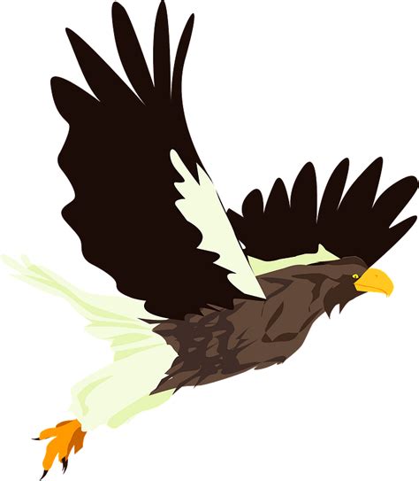 Flying Hawk Clipart