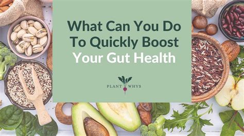 What Can You Do To Quickly Boost Your Gut Health