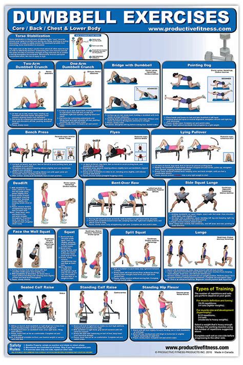 Dumbbell Exercises Workout Professional Fitness Gym Wall Charts 2