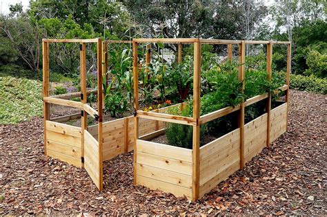 It is a raised bed that has a frame laid over it that delegates out certain spots for certain. Garden Deer Fence | Raised Garden Bed - Outdoor Living Today