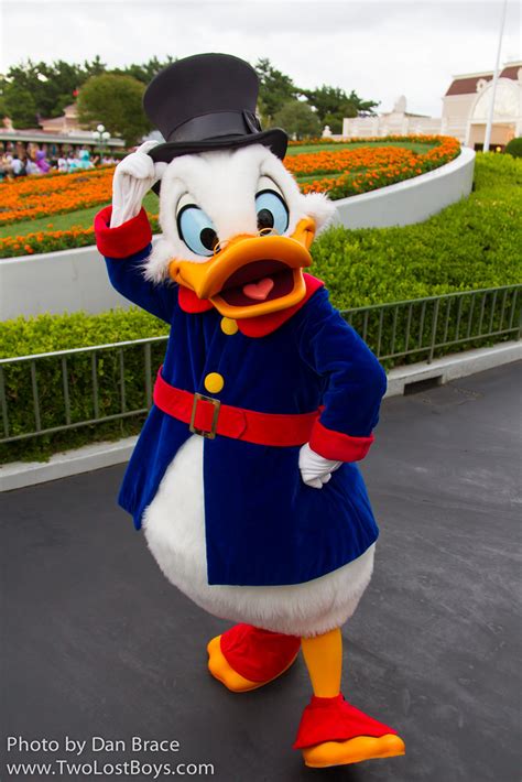 Scrooge Mcduck At Disney Character Central