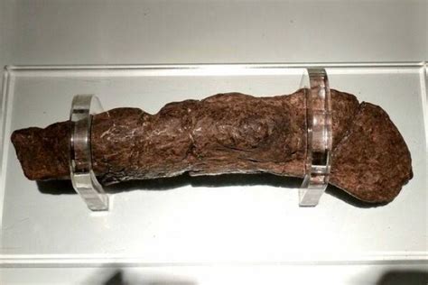 Freakish Record Worlds Largest Poop On Display At Uk Museum