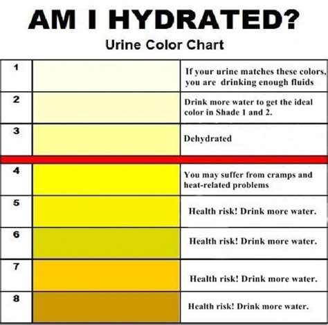 Urine Color Chart Health Chart Color Of Urine Urinal Urine Color
