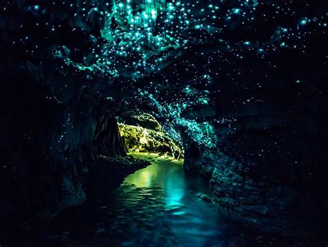 Waitomo Caves 10 Wunder Der Natur