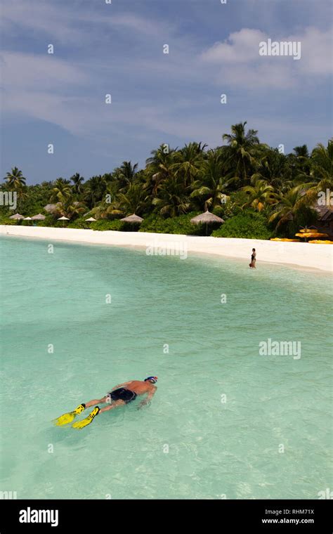 Maldives Snorkeling A Tourist Snorkelling Off The Beach Veligandu Island Rasdhoo Atoll The