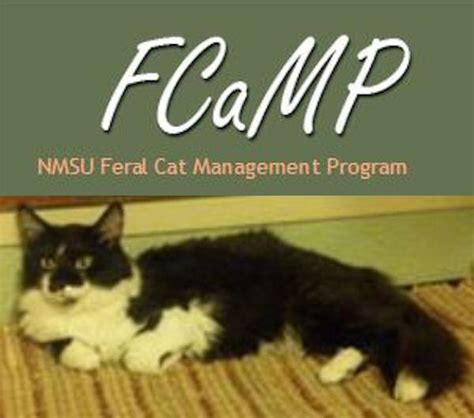 Nmsu Feral Cat Management Program Fcamp