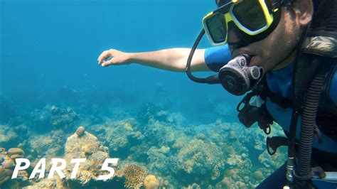 Scuba Diving In Andaman Havelock Island Vlog Andamans Youtube
