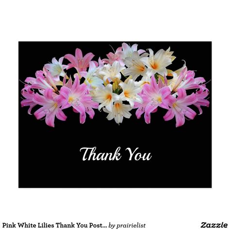Pink White Lilies Thank You Postcard Zazzle In 2023 Pink White Lily
