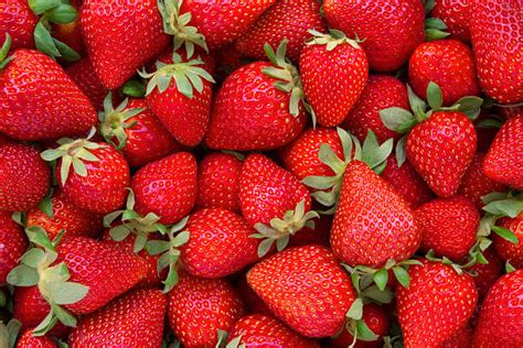 Strawberry Pictures Images And Stock Photos Istock