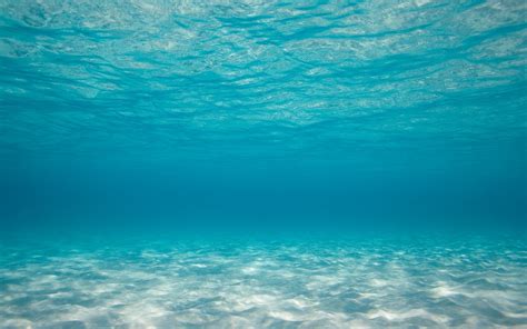 Free Download Sea Underwater Wallpaper 1920x1200 Sea Underwater