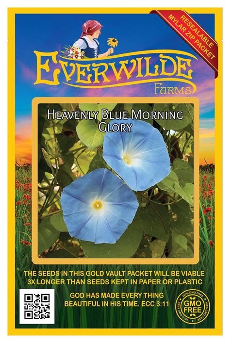 Everwilde Farms 50 Heavenly Blue Morning Glory Garden Flower Seeds