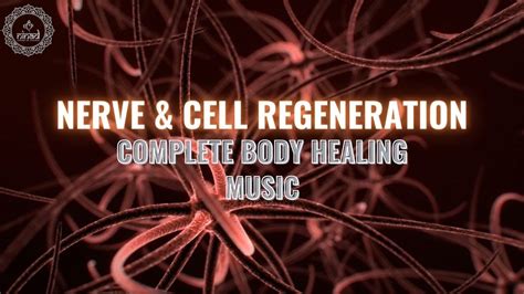 Nerve And Cell Regeneration Wholebody Cell Repair 528hz Miracle Tone