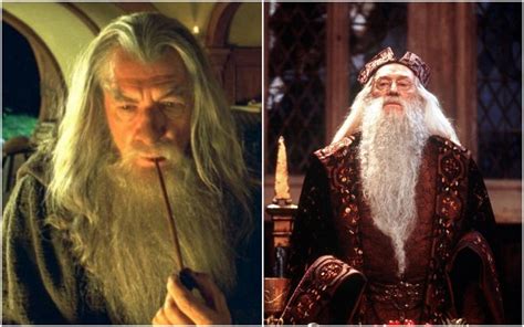 The Real Reason Ian Mckellen Turned Down The Role Of Dumbledore In Harry Potter