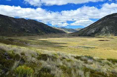 Beautiful Landscape In New Zealand With Yellow Grassland And Mountains