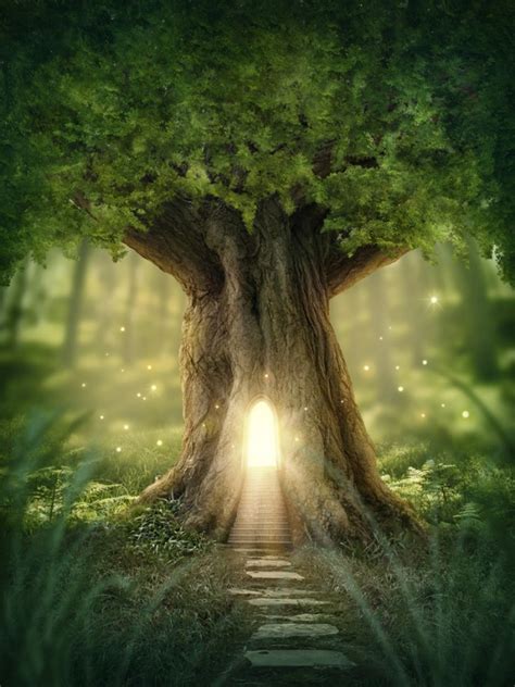 Free Download Fairy Tree House Magic Wallpaper Wall Mural 650x867 For