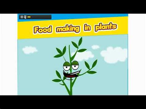 Inside the plant, the chloroplast is where photosynthesis happens. How plants make food | Food making in plants ...