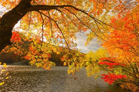 Colorful Fall Scenery Landscapes Stock Photo Image 46641301