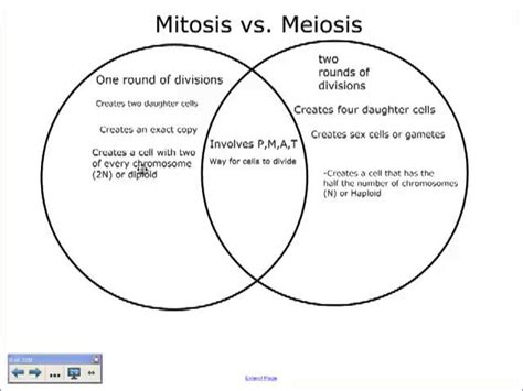 Mitosis Vs Meiosis Venn Diagram Worksheet Mitosis And Meiosis Venn