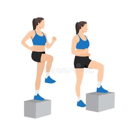 Woman Doing Chair Step Ups Exercise Stock Vector Illustration Of