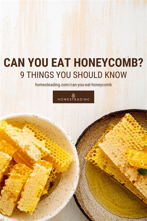 Can You Eat Honeycombs 9 Benefits And Uses Of Honeycomb Can You Eat