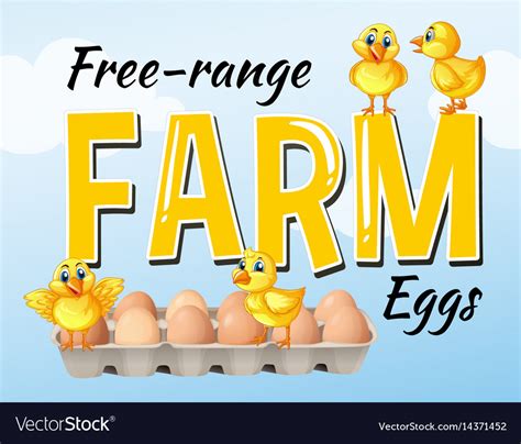 Farm Fresh Eggs Poster Design Royalty Free Vector Image