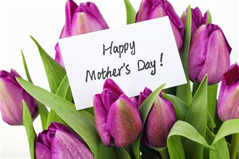 Download Free Happy Mothers Day Flowers Images Graphics Pics Happy
