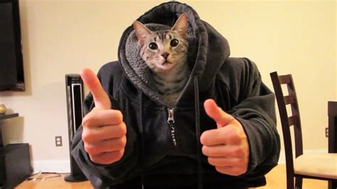Cat Human Youtube