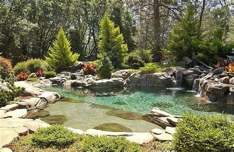 38 Popular Backyard Swimming Ponds Ideas En 2020 Piscinas
