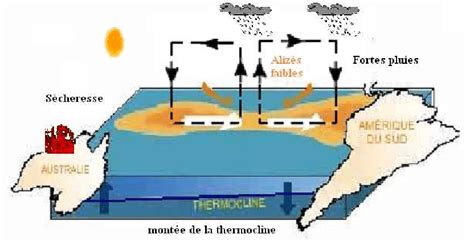 Schéma De Locéan Et De Latmosphère En Situation El Niño Download
