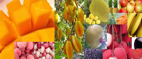 Many kinds of fruits grow in different season all over the country. Traditional foods and food habits in Bangladesh | About ...