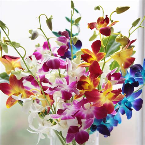 Maybe you would like to learn more about one of these? Pin by flowersbypost on Orchids | Flowers by post ...
