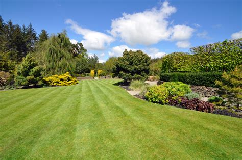 Is Climate Change A Threat To Britains Carefully Manicured Lawns