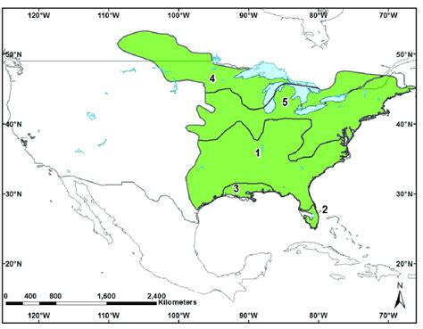 Distribution Of The Native Range Of Eastern Grey Squirrels Sciurus