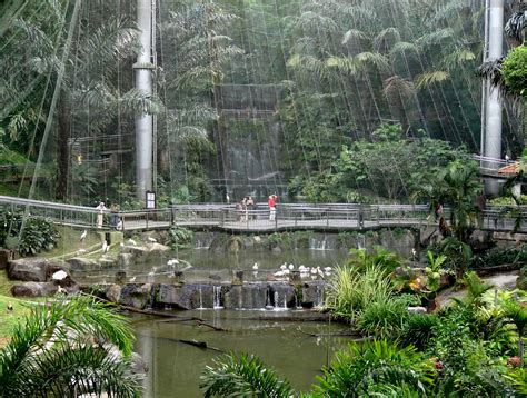 Explore the grounds of kuala lumpur butterfly park, one of the largest of its kind in the world. File:Kuala-Lumpur-Bird-Park-Inside.JPG - Wikimedia Commons