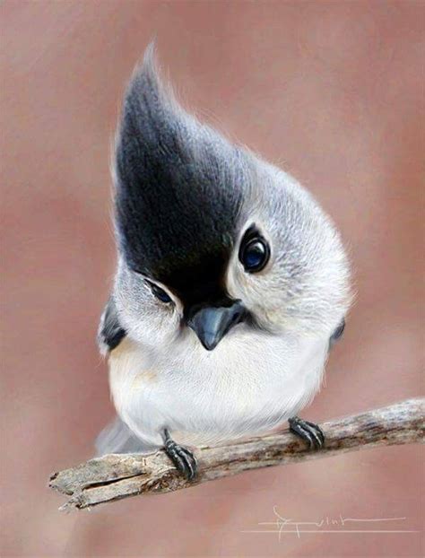 Pin By Melinda Wachter On Cuteness Pet Birds Beautiful Birds Most