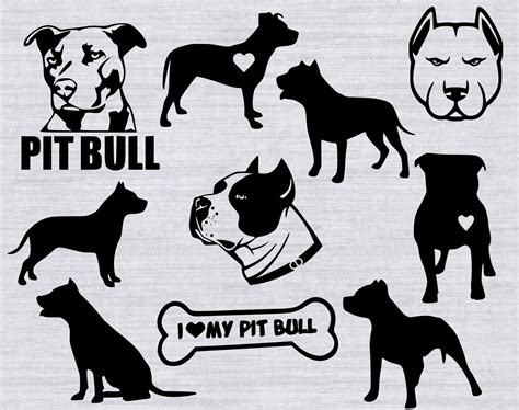 American pitbull muzzle leash dog collar. Pitbull SVG bundle Pit bull SVG pitbull svg dog svg svg